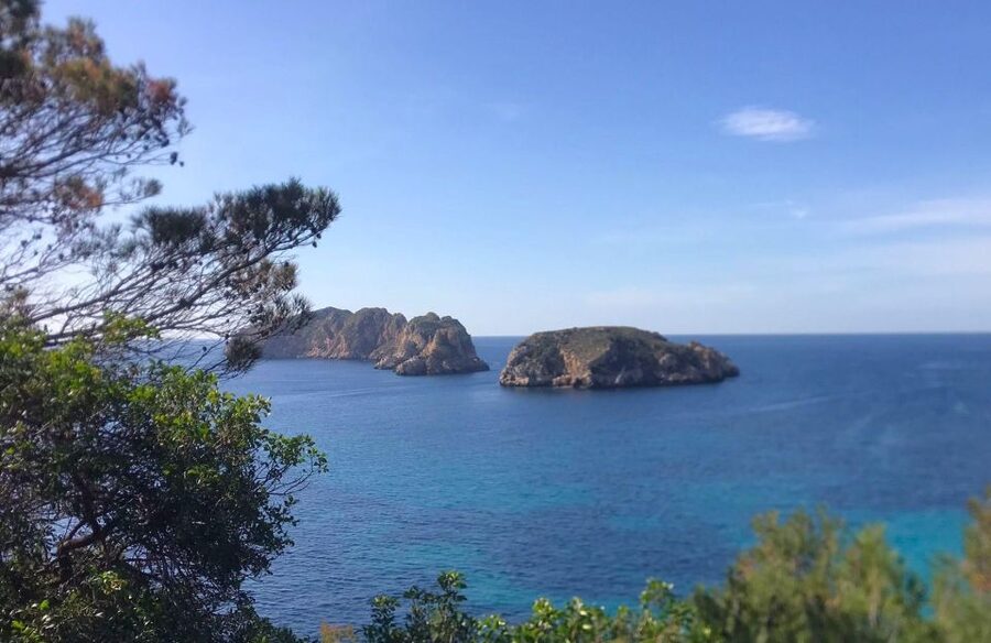 Mallorca: 2-Hour Coastline & Malgrat Islands Catamaran Tour - Food, drinks, music, and the onboard feel