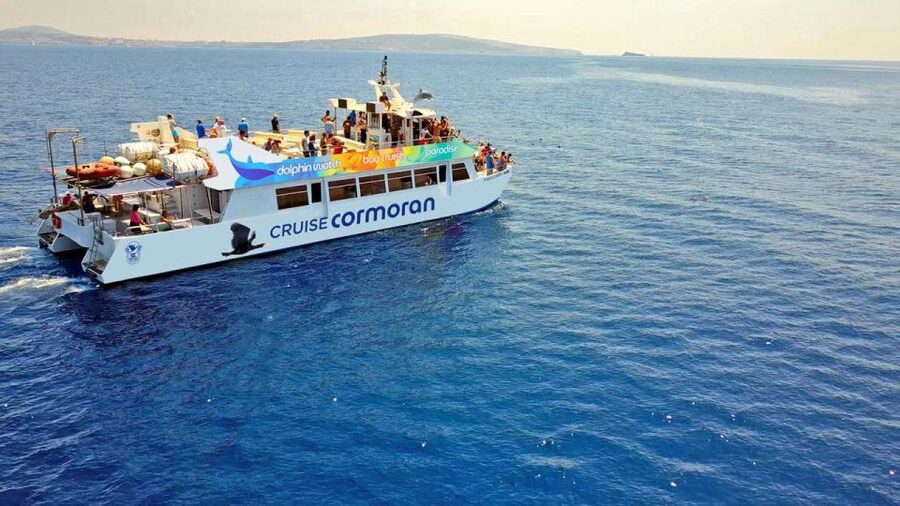 Mallorca: 2-Hour Dolphin Watching Cruise & Glass-Bottom Boat - Why this two-hour cruise works so well