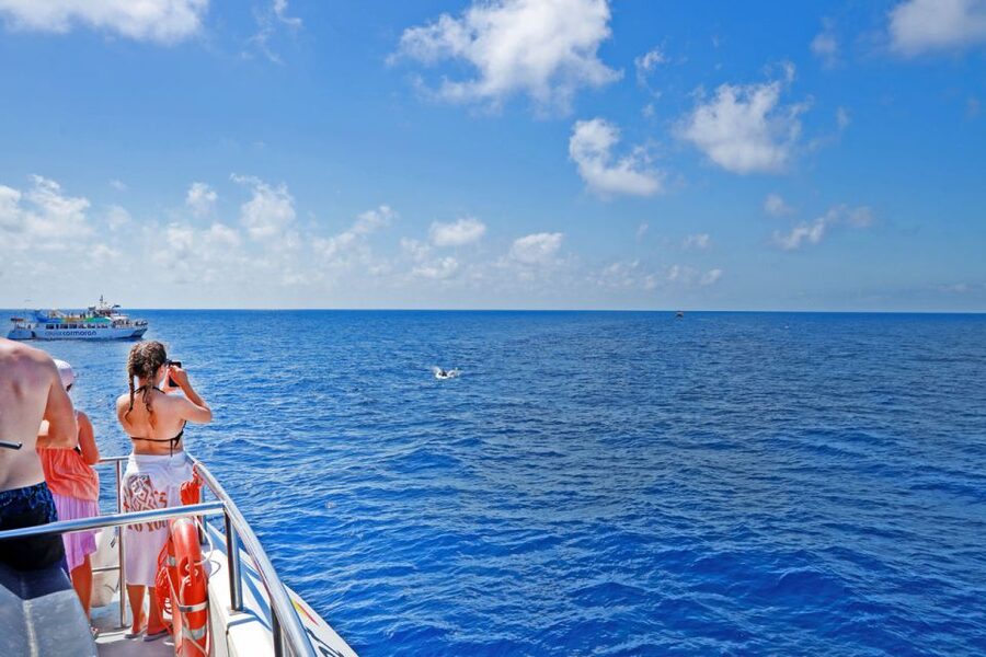Mallorca: 2-Hour Dolphin Watching Cruise & Glass-Bottom Boat - Finding the best place to sit on board