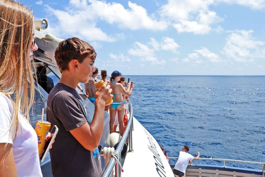 Mallorca: 2-Hour Dolphin Watching Cruise & Glass-Bottom Boat - The glass-bottom deck: useful, but not the main attraction