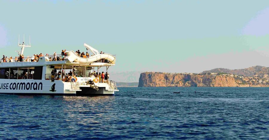 Mallorca: 2-Hour Dolphin Watching Cruise & Glass-Bottom Boat - Who will enjoy this Mallorca boat trip?
