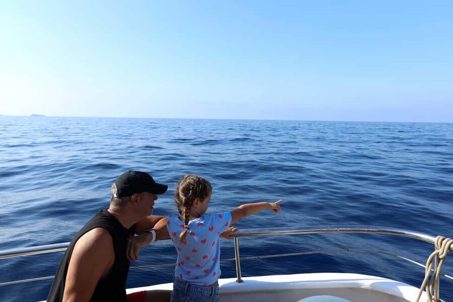 Mallorca: 3-Hour Afternoon Dolphin Watching Boat Tour - Sun deck, music, and onboard food