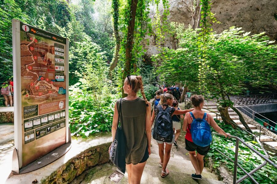 Mallorca: Caves of Drach Day Trip & Optional Caves of Hams - Key points to know