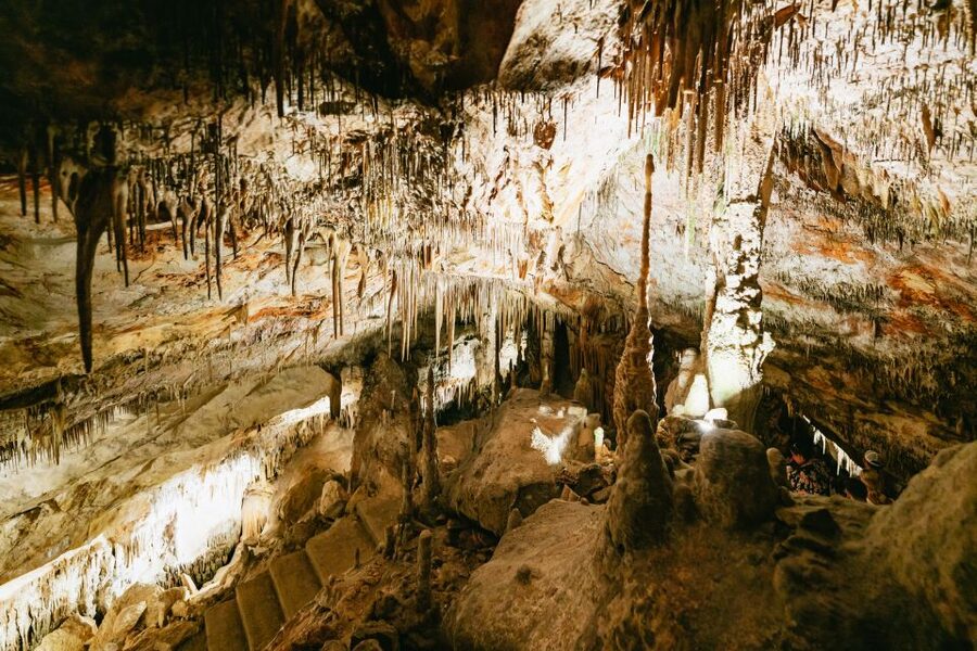 Mallorca: Caves of Drach Day Trip & Optional Caves of Hams - Who will enjoy this tour most?