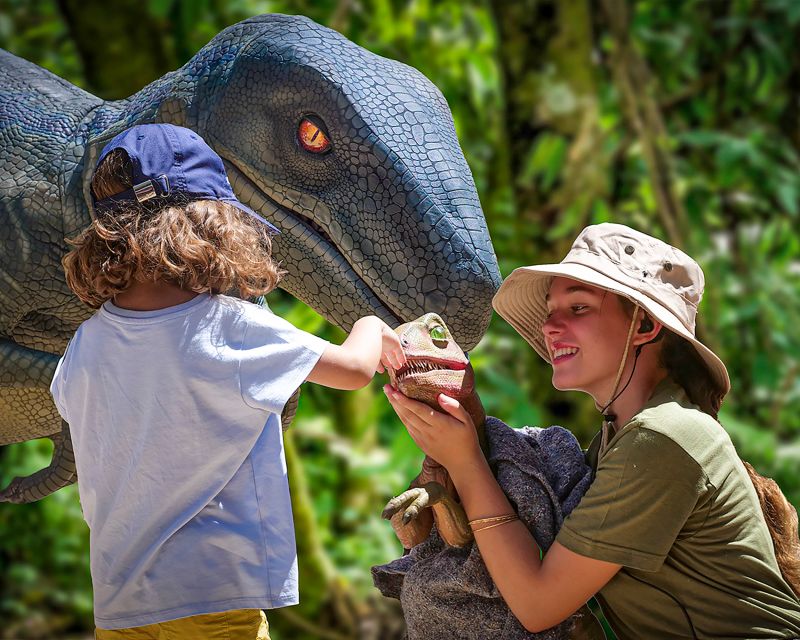 Mallorca: Dinosaurland and Caves of Hams Combined Ticket - The Classic Cave saves its strangest formations for last