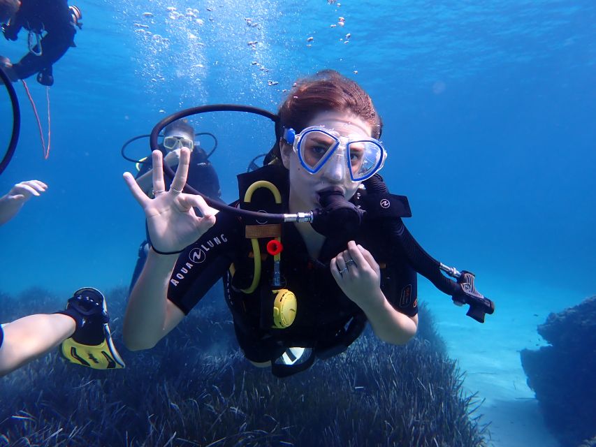 Mallorca: Discover Scuba Diving for Beginners - The protected marine reserve and what you may see