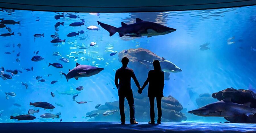 Mallorca: Palma Aquarium Entry Ticket w/ Optional 3D Cinema - Why Palma Aquarium deserves a full morning or afternoon
