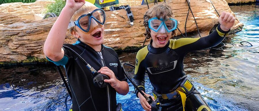 Mallorca: Palma Aquarium Entry Ticket w/ Optional 3D Cinema - Big Blue and the animals that hold your attention
