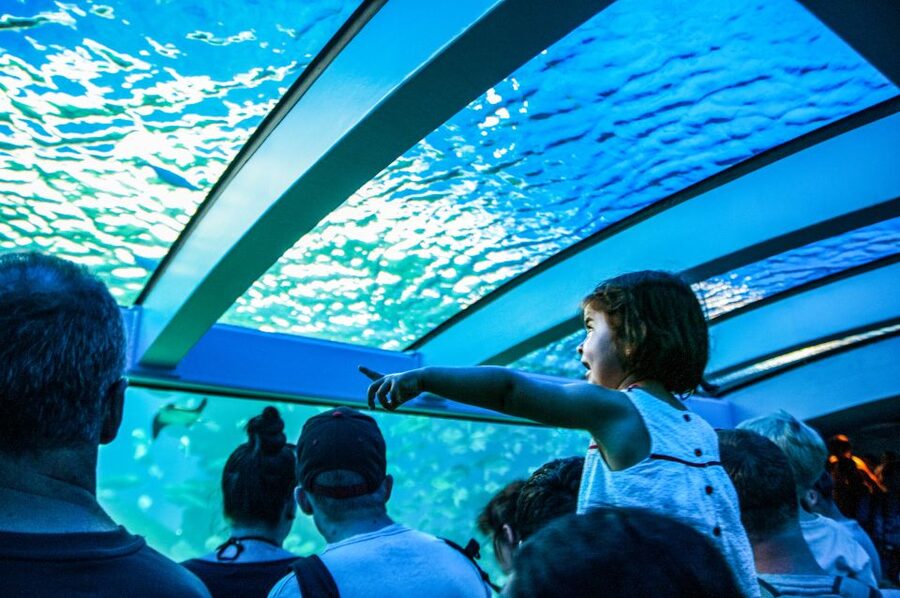 Mallorca: Palma Aquarium Entry Ticket w/ Optional 3D Cinema - Why this works well for children