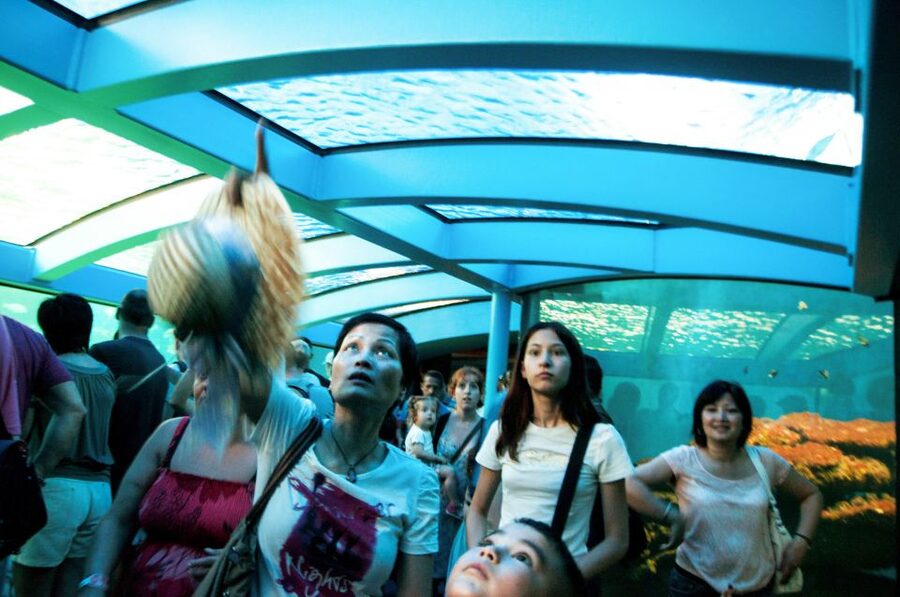 Mallorca: Palma Aquarium Entry Ticket w/ Optional 3D Cinema - Food, comfort, and how to plan the day