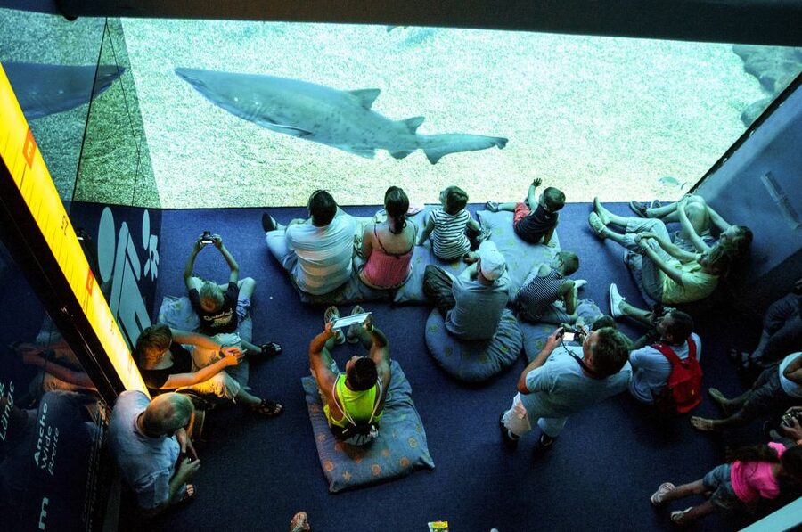 Mallorca: Palma Aquarium Entry Ticket w/ Optional 3D Cinema - Access and useful booking details