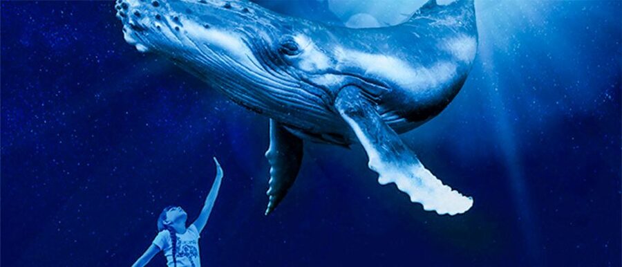 Mallorca: Palma Aquarium Entry Ticket w/ Optional 3D Cinema - The route through eight marine habitats