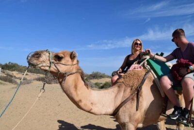 Maspalomas: Guided Camel Ride in the Maspalomas Sand Dunes