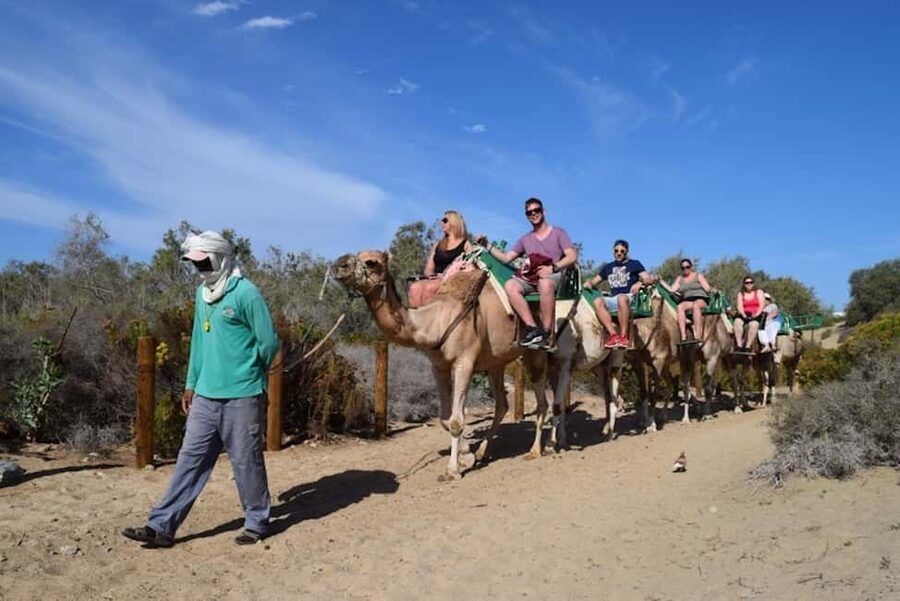 Maspalomas: Guided Camel Ride in the Maspalomas Sand Dunes - Is $21 good value for 30 minutes?