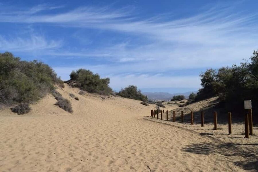 Maspalomas: Guided Camel Ride in the Maspalomas Sand Dunes - Booking, cancellation, and practical details