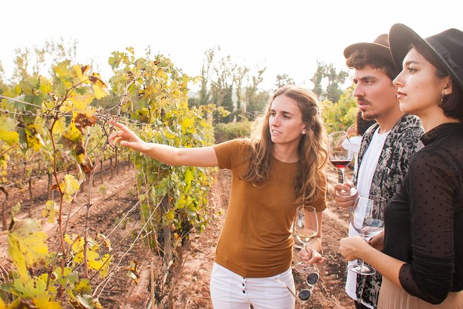 Montserrat & Cogwheel Train, Gourmet Wine Tasting & Tapas/Lunch - Why this Montserrat day trip works