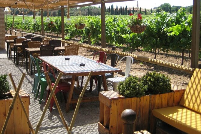 Montserrat & Winery Visit Tour with Traditional Farmhouse Lunch - Why this Barcelona day trip works