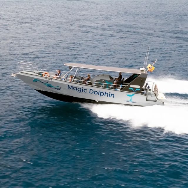 Morro Jable: Dolphin & Whale Watching Cruise, Drinks & Swim - What the two-hour schedule really feels like