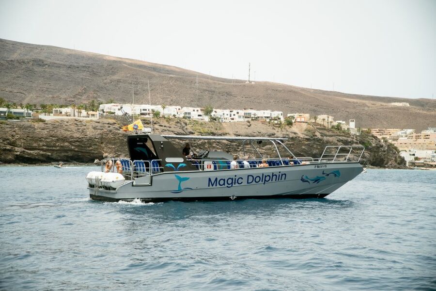 Morro Jable: Dolphin & Whale Watching Cruise, Drinks & Swim - The search for dolphins, whales, and other sea life