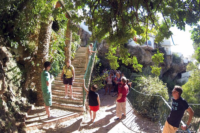Natural Parck Jeep Eco Tour from Costa del Sol - Why this is more than a standard Costa del Sol excursion