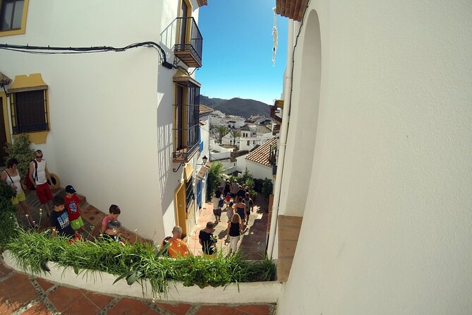 Natural Parck Jeep Eco Tour from Costa del Sol - What the $148.74 price buys you