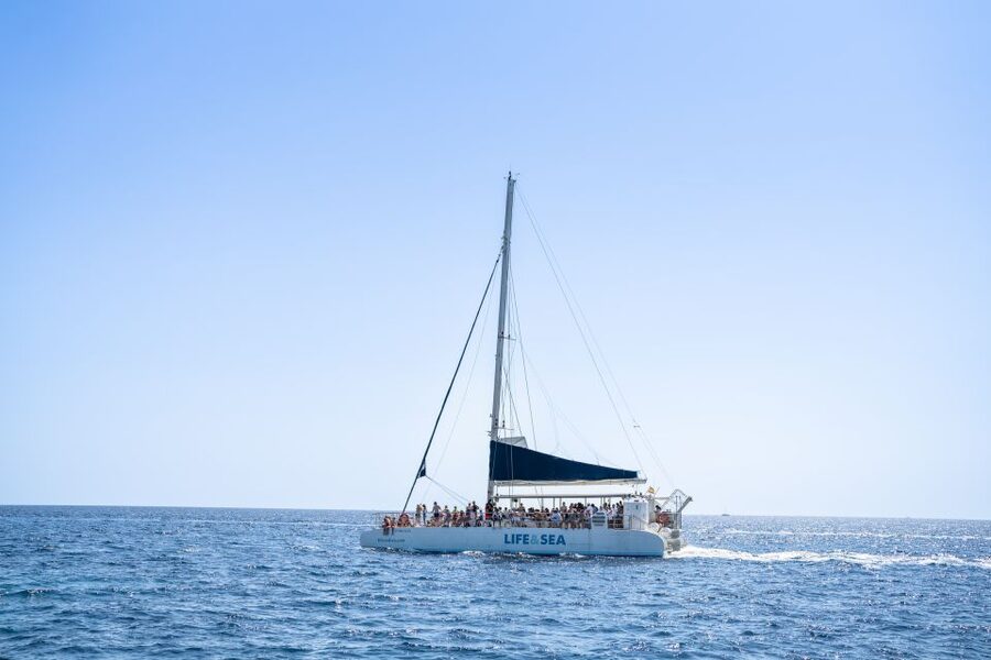 Palma: Catamaran Cruise with Swimming and Snorkelling - Swimming, snorkeling, and jumping from the stern