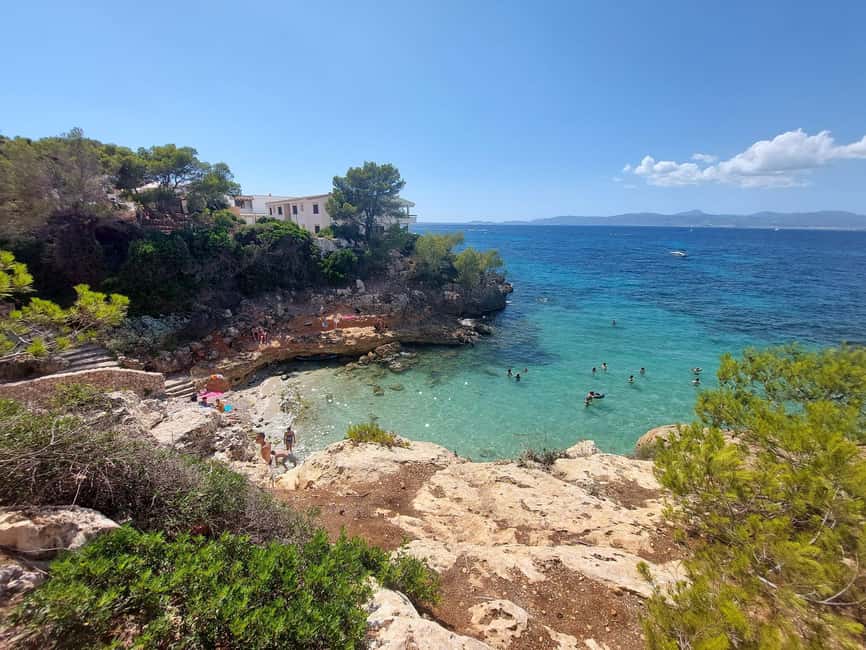 Palma de Mallorca: 2-Seater Buggy Adventure - Price, timing, and what you really receive