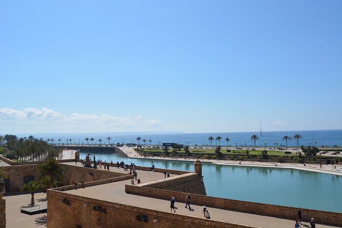 Palma de Mallorca Easy Bike Tour (Small Groups) - Why a bike is a smart way to see Palma