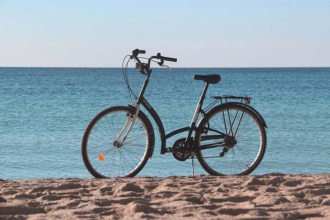 Palma de Mallorca Easy Bike Tour (Small Groups) - Bike comfort, hills, and family fit