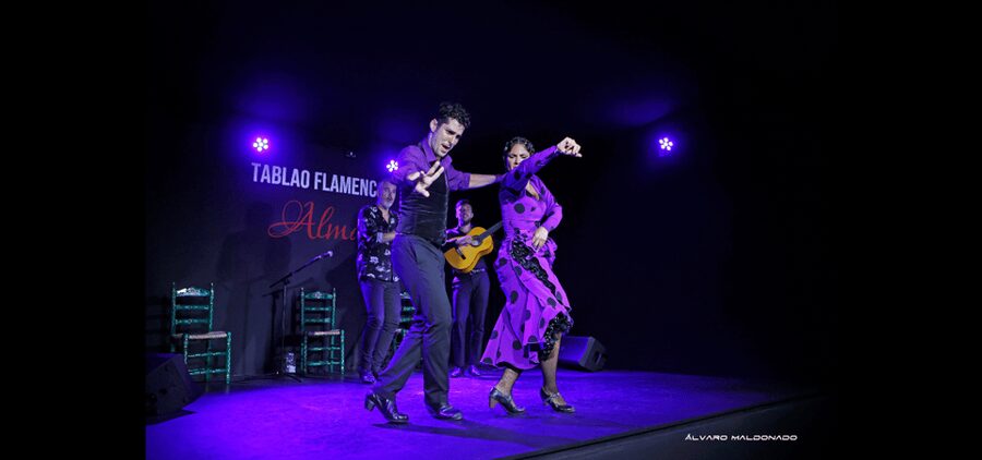 Palma: Flamenco Show at Tablao Flamenco Alma with Drink - Key points to know before booking