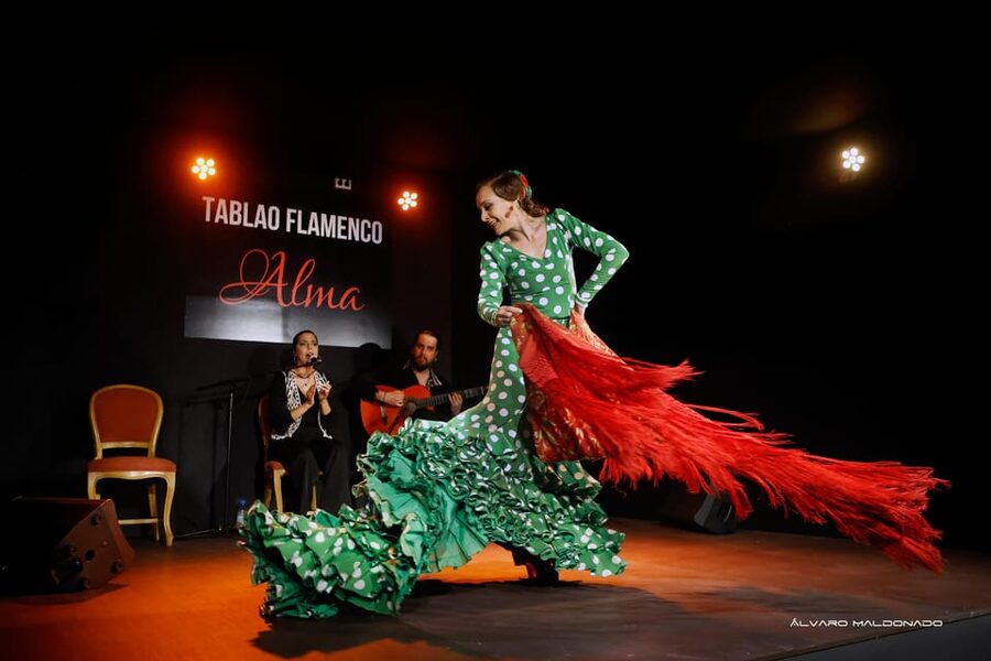 Palma: Flamenco Show at Tablao Flamenco Alma with Drink - Listen closely to the guitar and singing