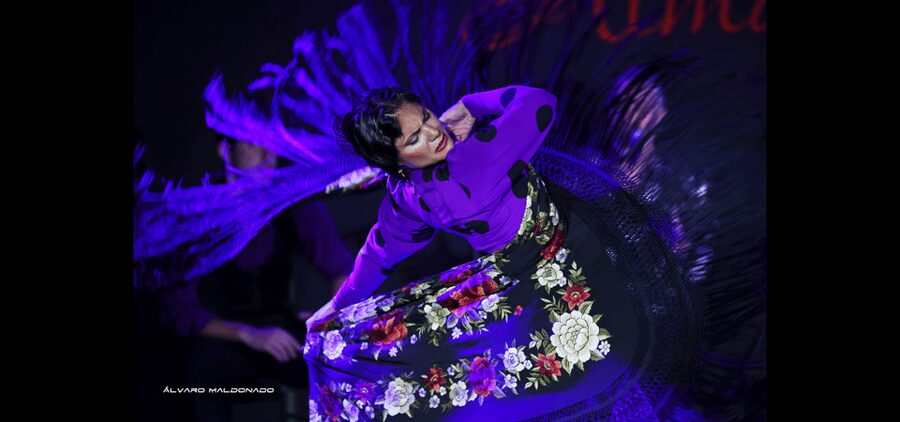 Palma: Flamenco Show at Tablao Flamenco Alma with Drink - Is $47 a fair price?