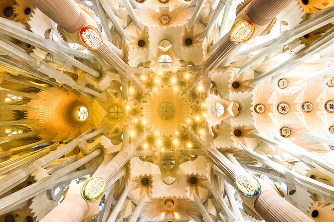 Park Guell and Sagrada Familia Tour with Skip the Line Tickets - Starting at Park Güell on Carmel Hill
