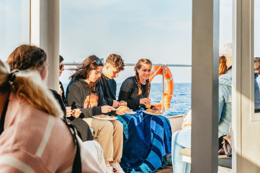 Port d'Alcudia: Sunrise at Sea & Dolphin Watching Boat Tour - Should you book the Alcudia sunrise dolphin tour?