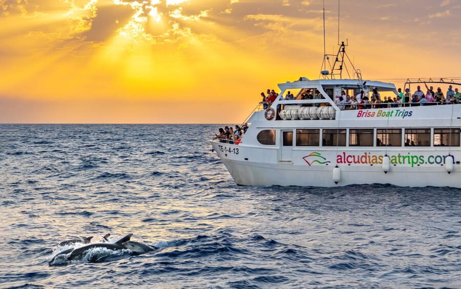 Port d'Alcudia: Sunrise at Sea & Dolphin Watching Boat Tour - Sailing out of Puerto de Alcúdia in the dark