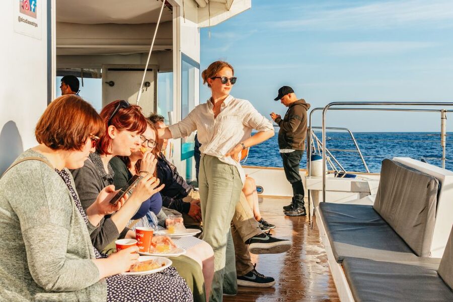 Port d'Alcudia: Sunrise at Sea & Dolphin Watching Boat Tour - Watching dolphins in their natural setting