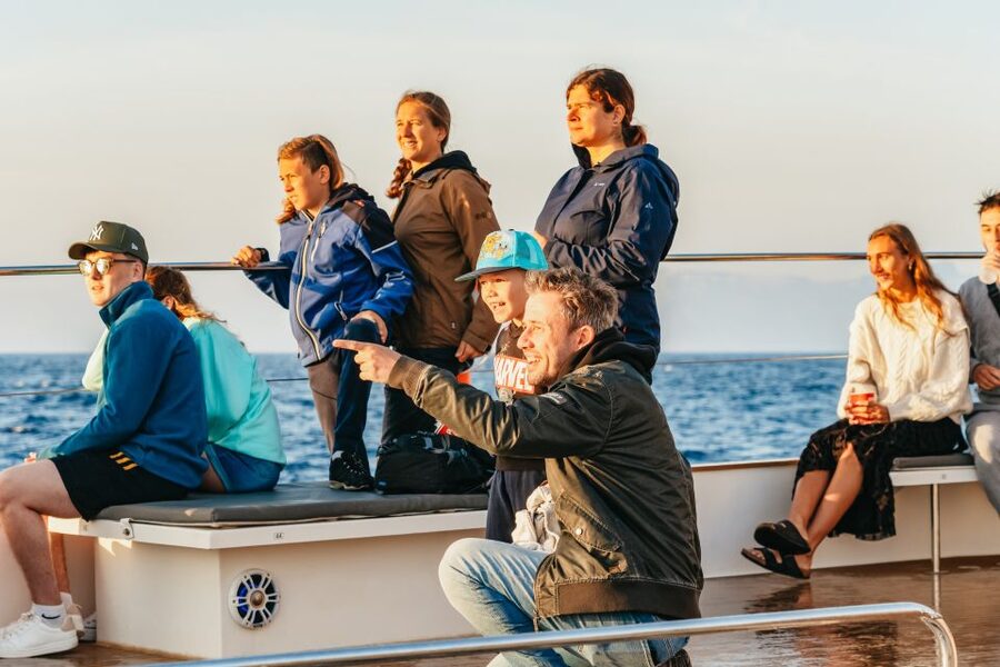Port d'Alcudia: Sunrise at Sea & Dolphin Watching Boat Tour - What the $69 price means