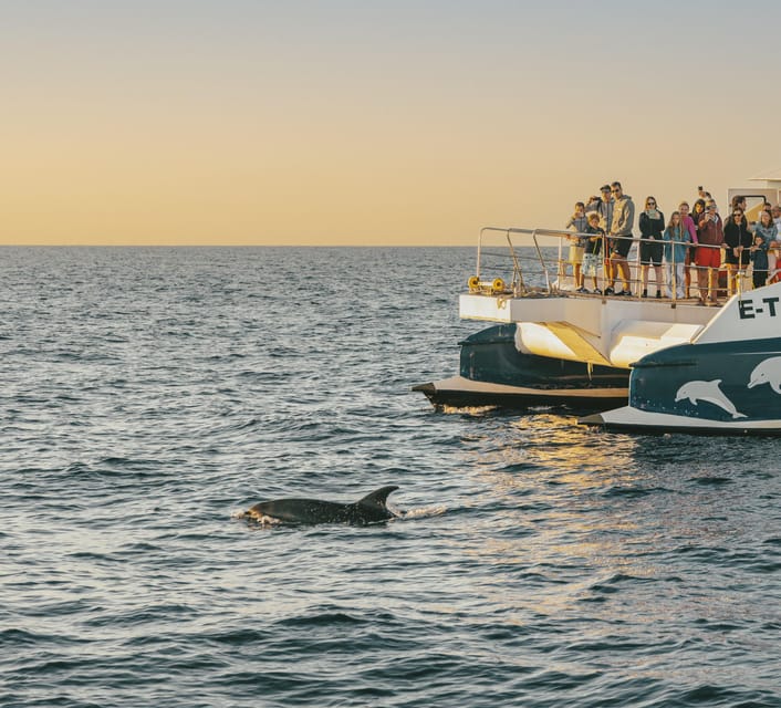 Port d'Alcudia: Sunrise at Sea & Dolphin Watching Boat Tour - Sunrise at sea near Mallorca’s north coast