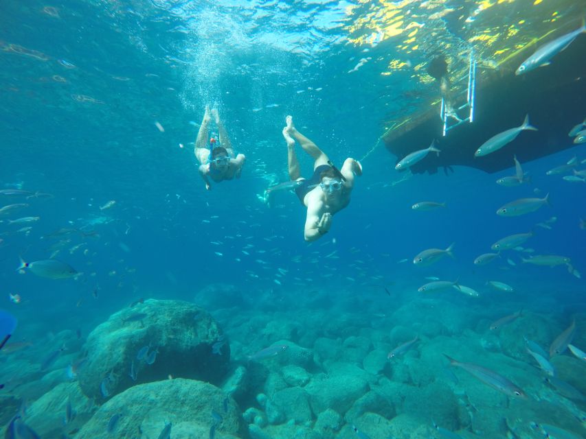 Puerto de Mogan: Boat and Snorkeling Trip - Key points to know before you book