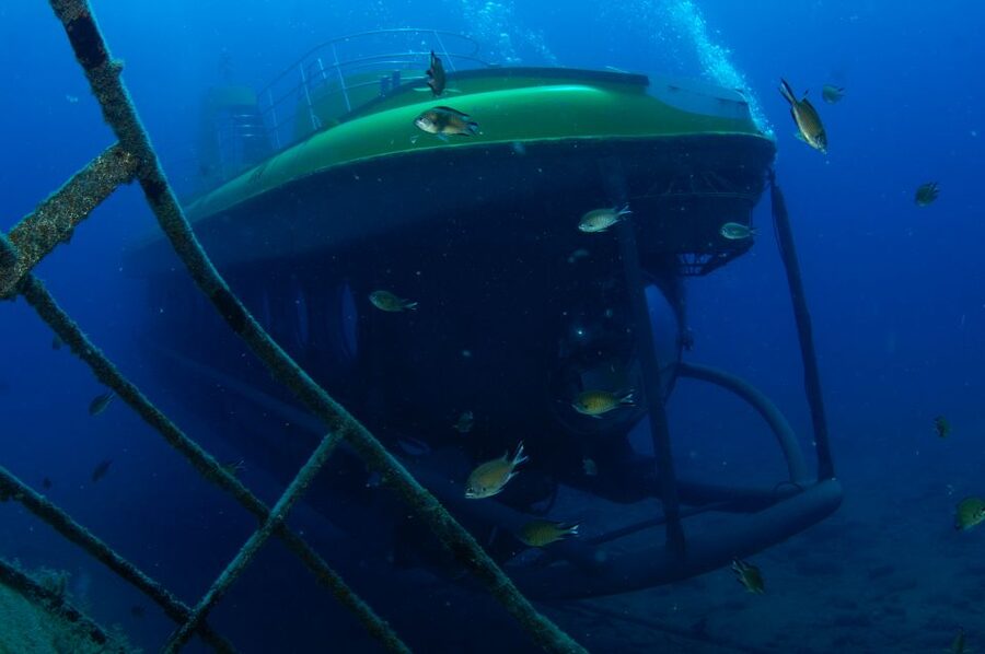 Puerto de Mogán: Submarine Tour - What the Golden Shark experience is really like