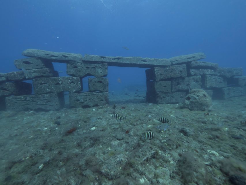 Puerto de Mogán: Submarine Tour - Shipwrecks, fish, and the artificial reef