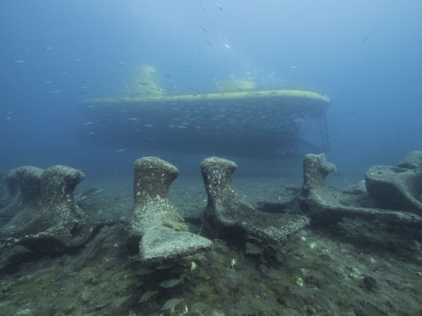 Puerto de Mogán: Submarine Tour - A closer look at the 40-minute route