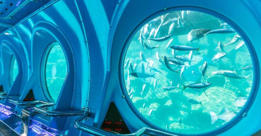 Puerto de Mogán: Submarine Tour - How much value do you get for $45?