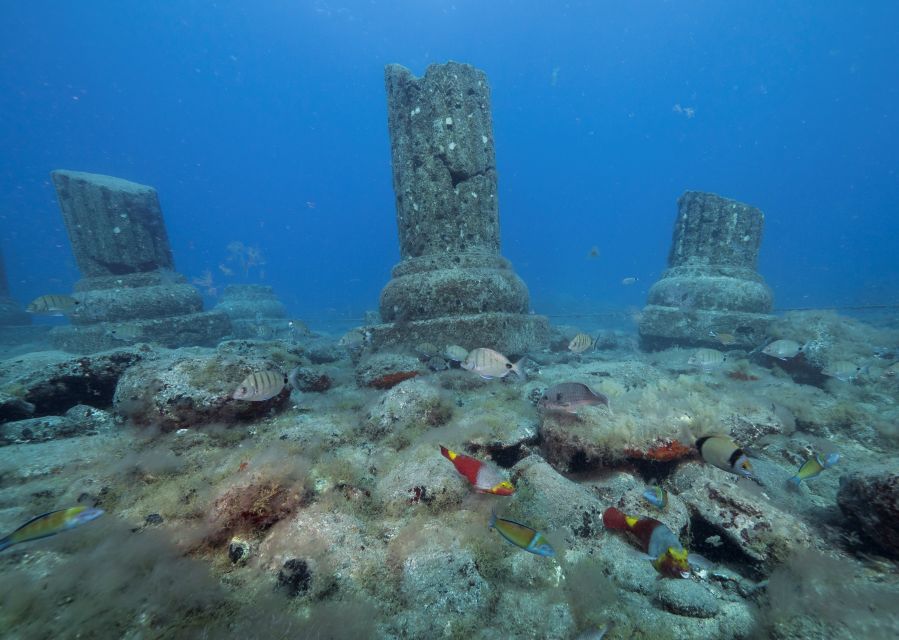 Puerto de Mogán: Submarine Tour - Small practical details that make a difference