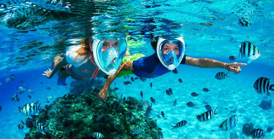 Puerto del Carmen: Dolphin-Watching Speedboat Tour with Swim - Guides, languages, and the family experience