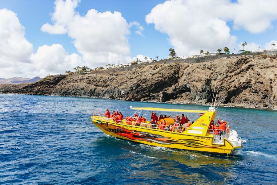 Puerto del Carmen: Dolphin-Watching Speedboat Tour with Swim - How the $41 price holds up
