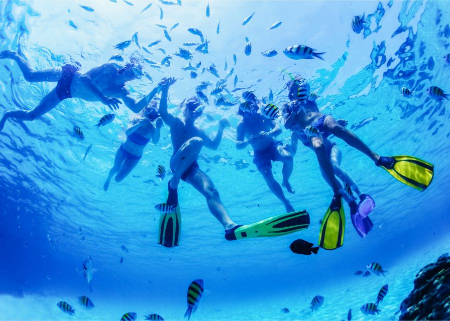 Puerto del Carmen: Dolphin-Watching Speedboat Tour with Swim - Practical tips for a better ride