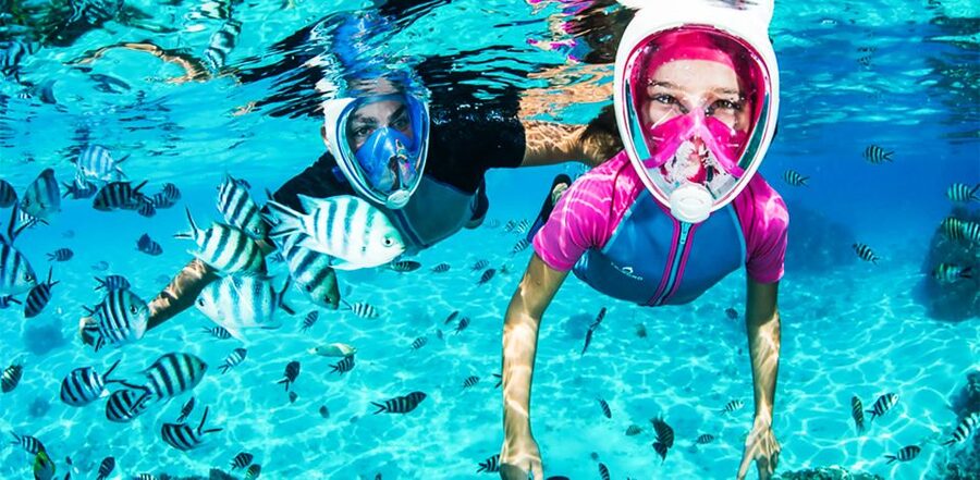 Puerto del Carmen: Dolphin-Watching Speedboat Tour with Swim - The coastal ride and the wildlife search