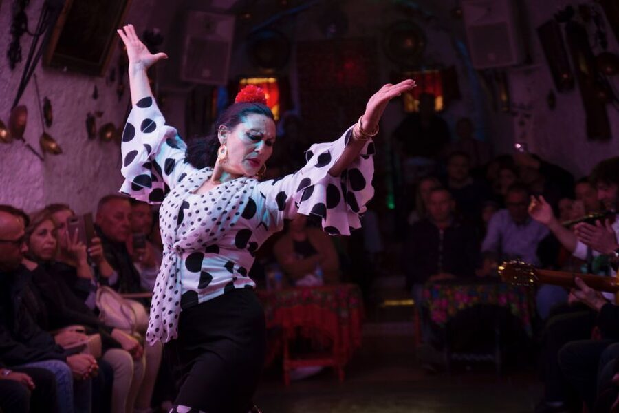 Sacromonte: Flamenco Show at Cuevas Los Tarantos Tickets - What the performers bring to the room