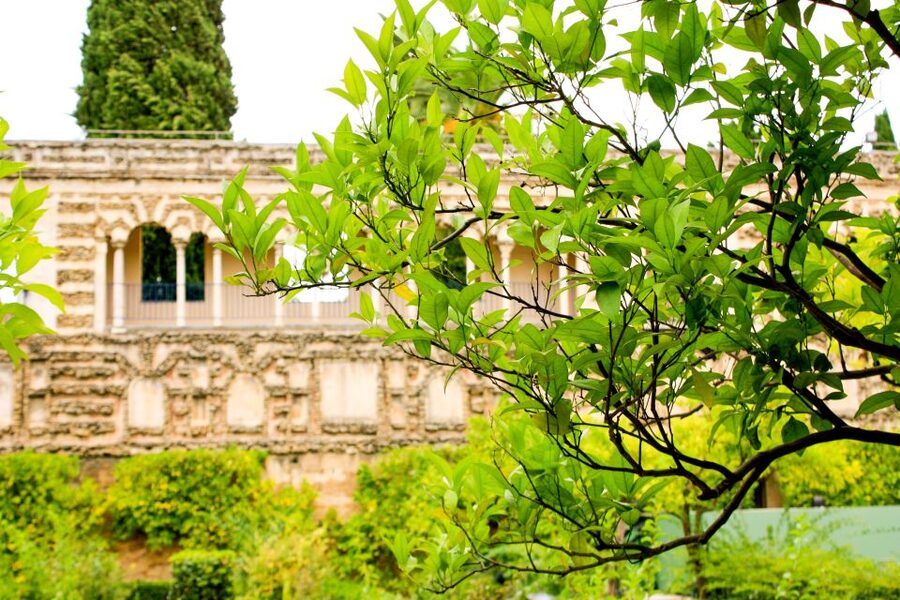 Seville: Alcazar Skip-the-Line Guided Tour with Tickets - What is not included